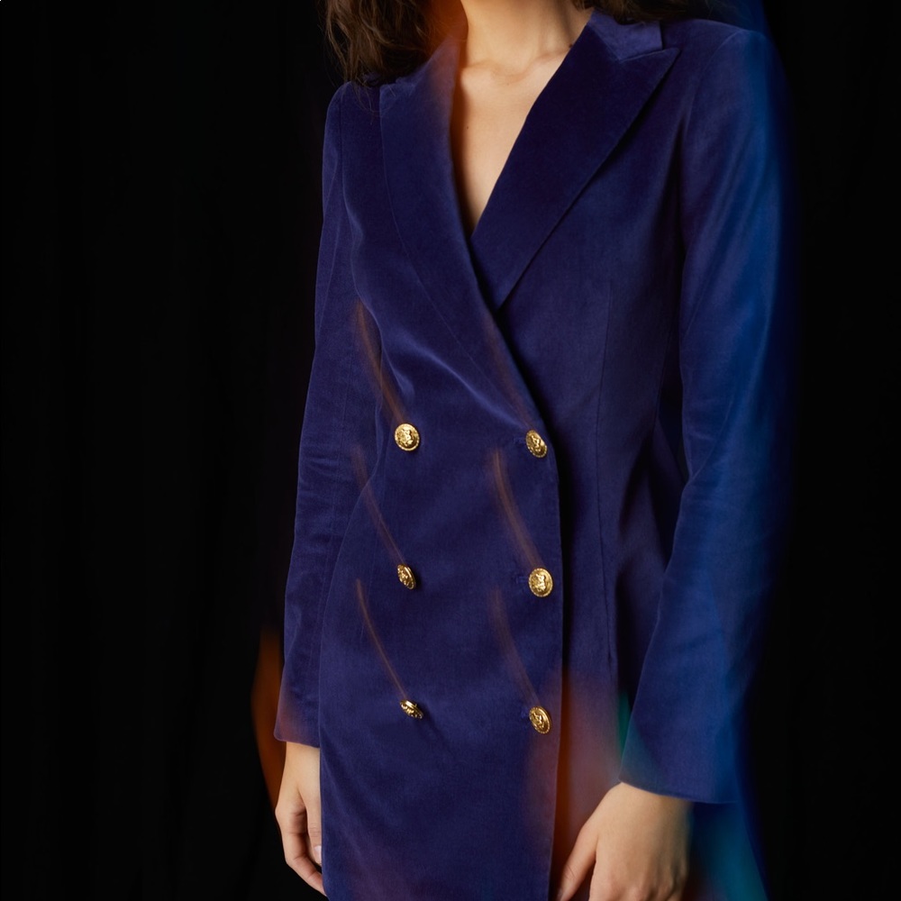 Aritzia Babaton Samuel Blazer/Dress 0